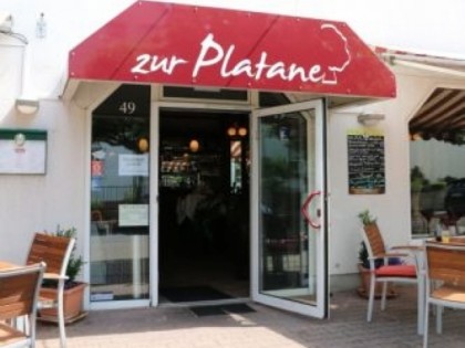 Photo: Zur Platane